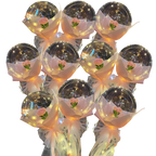 Beautiful Rose LED Balloon